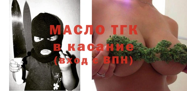 хмурый Алексин