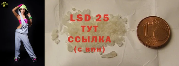 ПСИЛОЦИБИНОВЫЕ ГРИБЫ Алзамай