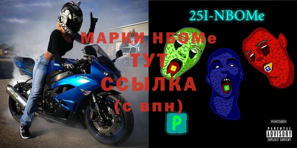 хмурый Алексин